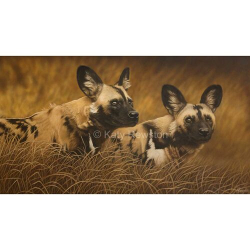 Katy Rewston - African Wild Dogs