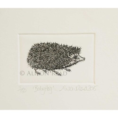 Alison Read - Baby Hog