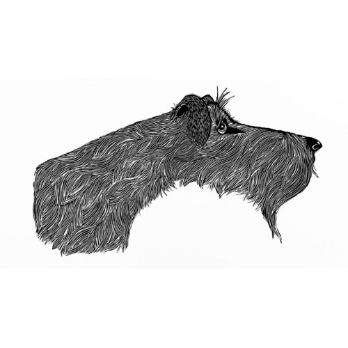 Alison Read - Bearded Lady - Linocut
