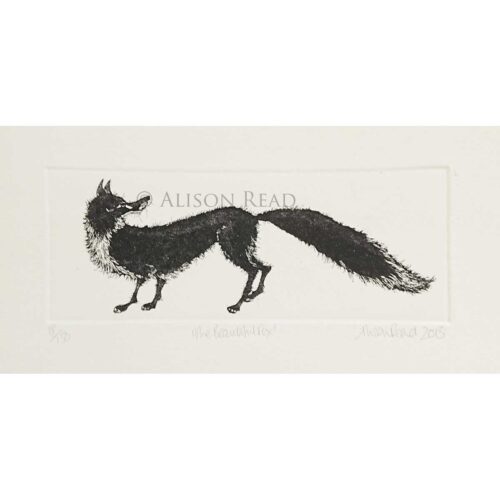 Alison Read - Beautiful Fox