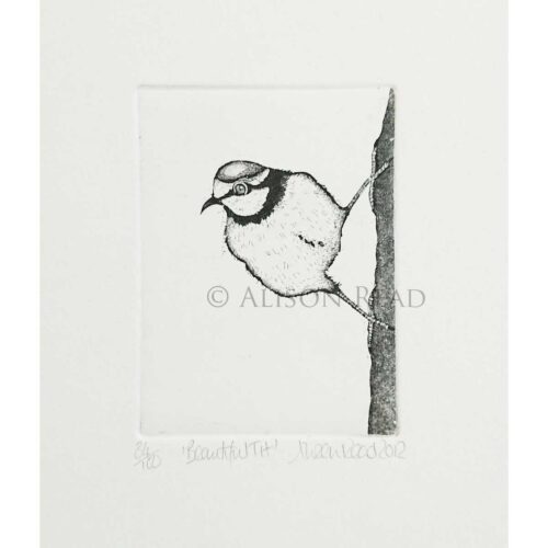 Alison Read - Beautiful Tit