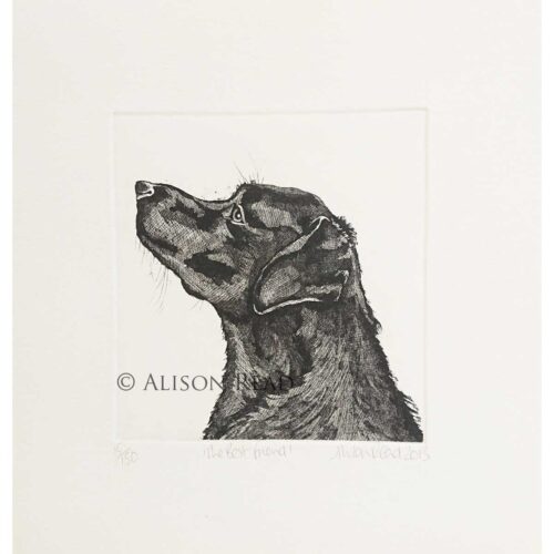 Alison Read - Best Friend