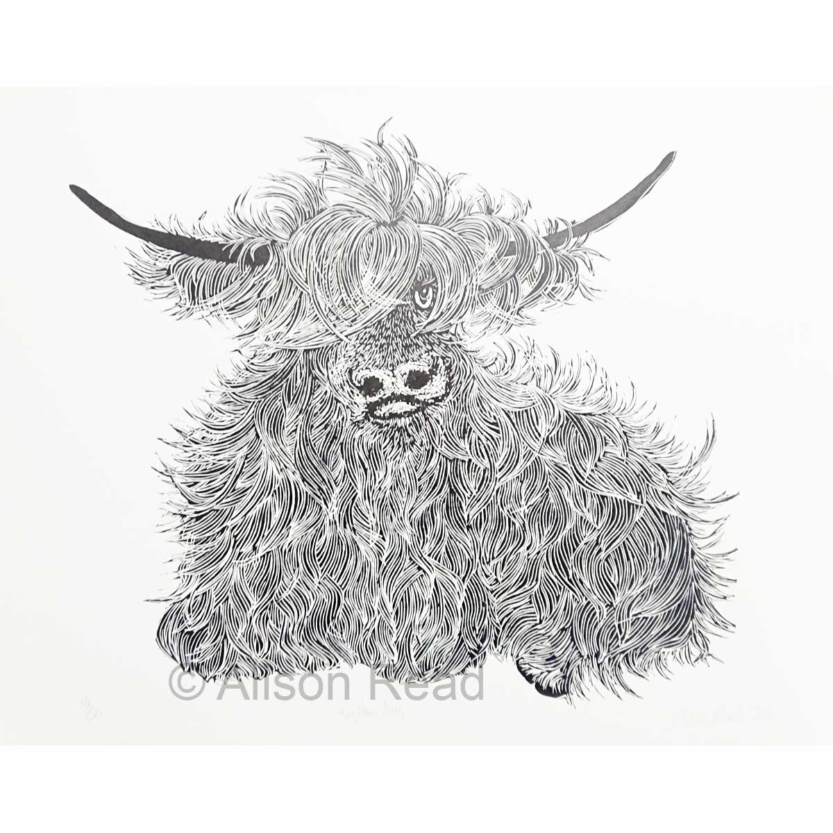 Alison Read - Big Hair Day