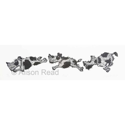 Alison Read - Bone