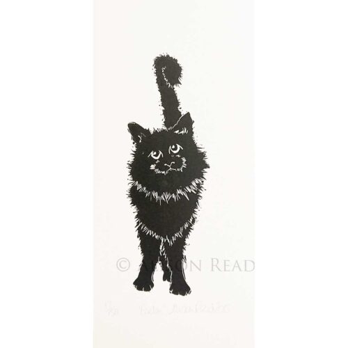 Alison Read - Gordon
