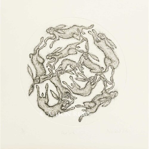 Alison Read - Hare Circle