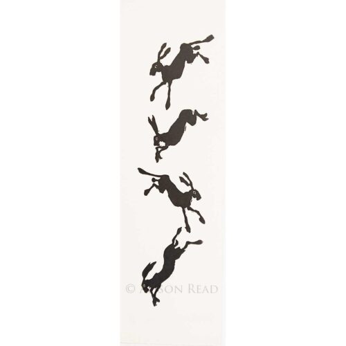Alison Read - Hare Fall Out