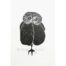 Alison Read - Little Owl