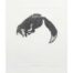 Alison Read - Look Out Mouse