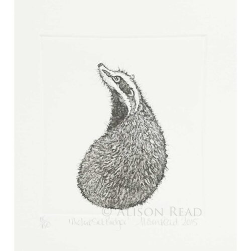 Alison Read - Lovesick Badger