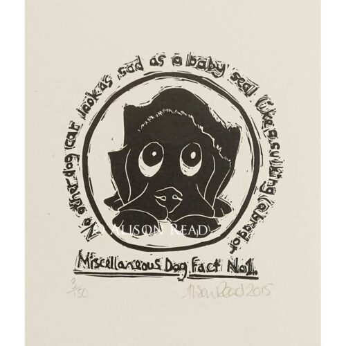 Alison Read - Miscellaneous Dog Fact no. 1