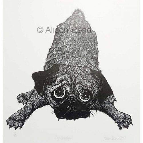 Alison Read - Puggy Dog Eyes