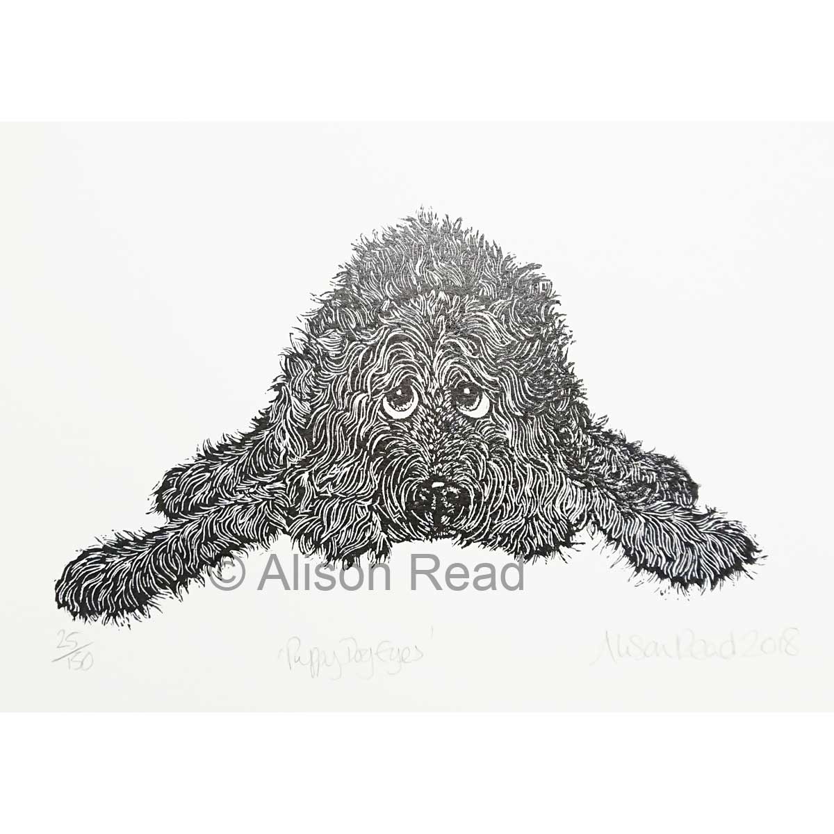 Alison Read - Puppy Dog Eyes
