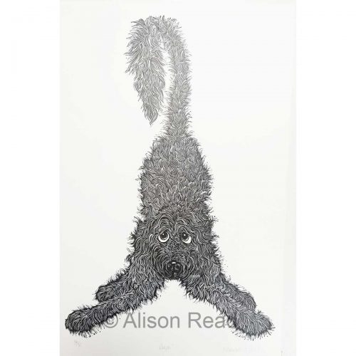 Alison Read - Ralph