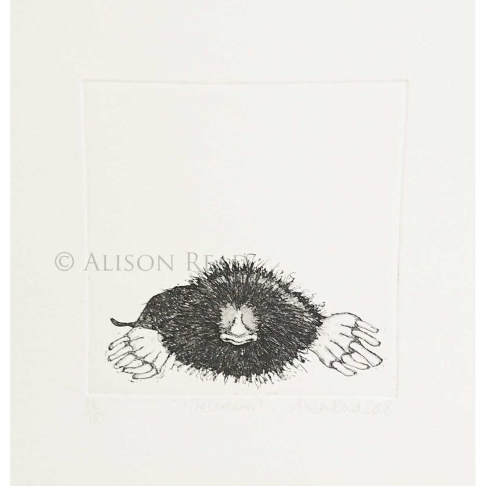 The Gardener - Etching print by Alison Read