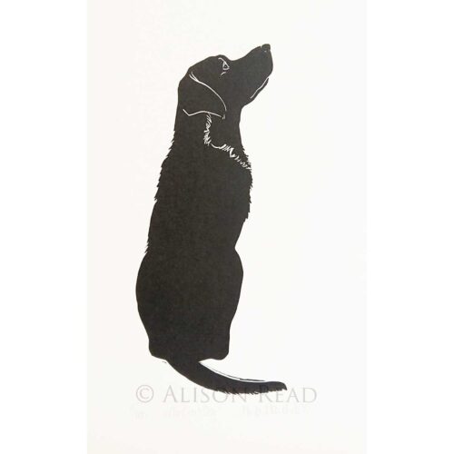 Alison Read - The Good Dog