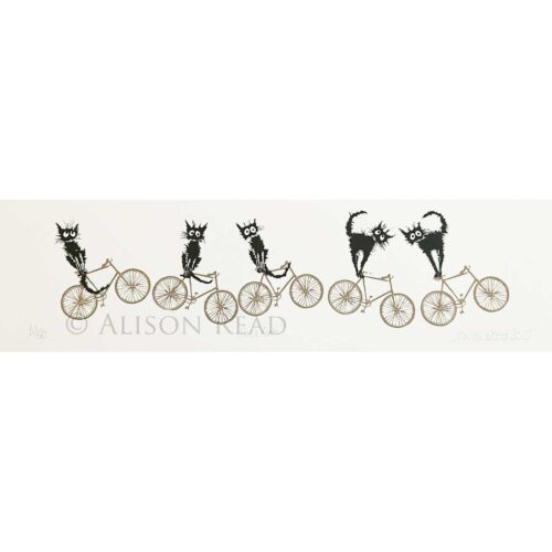 Alison Read - Trick Cats