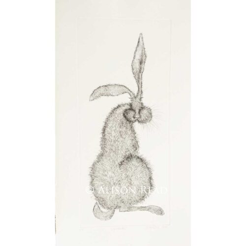 Alison Read - Wise Hare