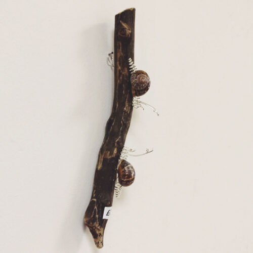 Becka Gauld - 2 Snails on driftwood