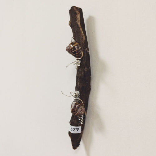 Becka Gauld - 2 Snails on driftwood