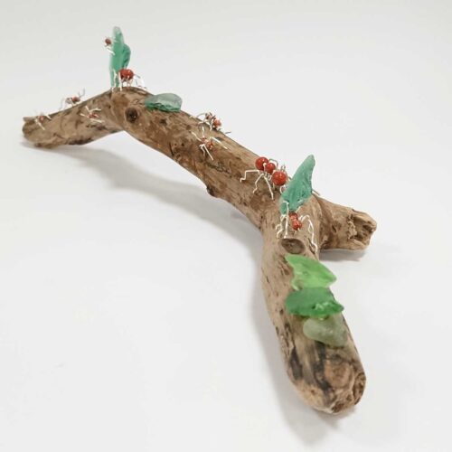 Becka Gauld - Leafcutter Ants