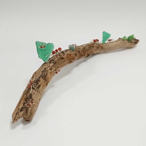 Becka Gauld - Leafcutter Ants