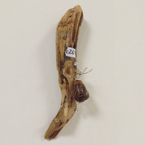 Becka Gauld - Snail on driftwood