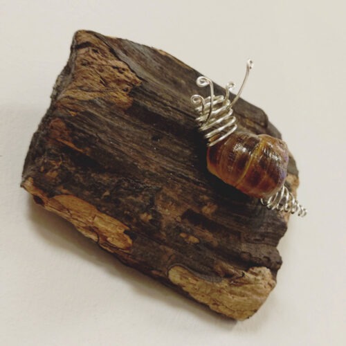 Becka Gauld - Snail on driftwood