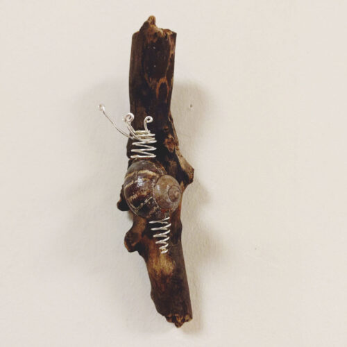 Becka Gauld - Snail on driftwood