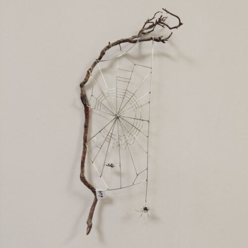 Becka Gauld - Spiderweb on driftwood
