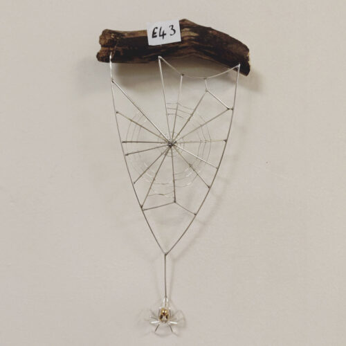 Becka Gauld - Spiderweb on driftwood