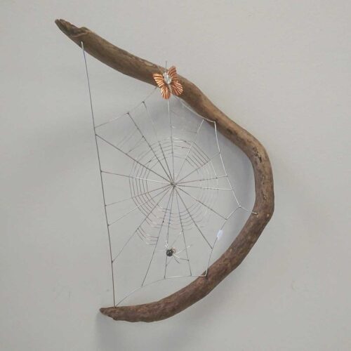 Becka Gauld - Spiderweb on Driftwood