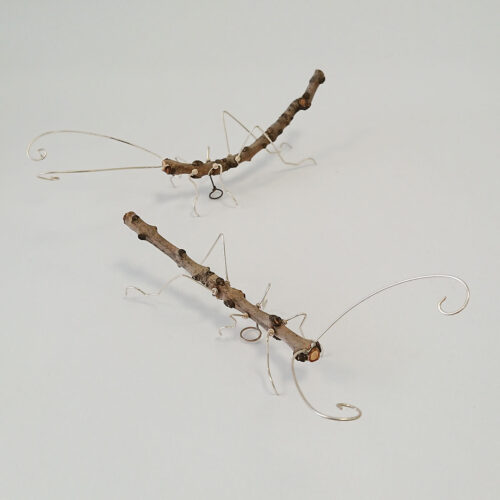 Becka Gauld - Stick Insects