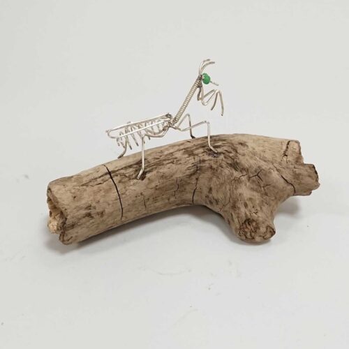 Becka Gauld - Preying Mantis