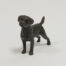 Butler and Peach - Border Terrier