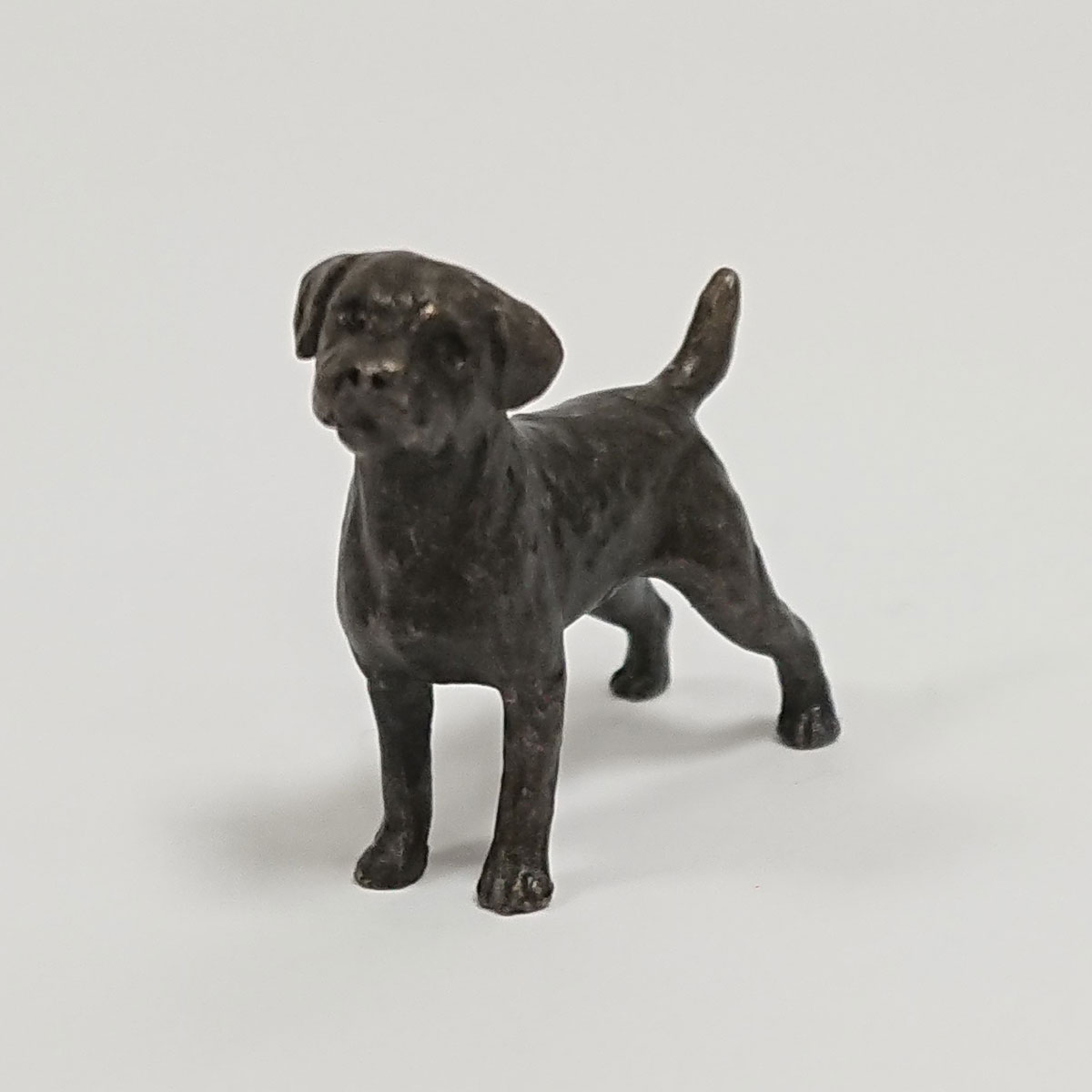 Butler and Peach - Border Terrier