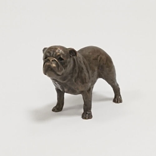 Butler and Peach - English Bulldog