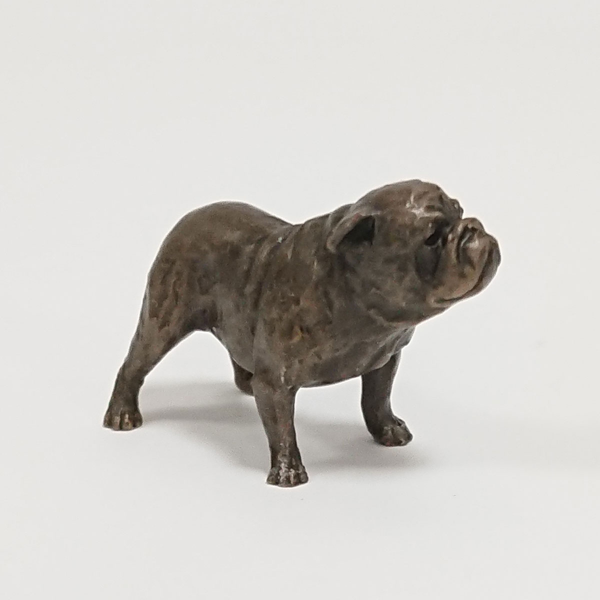 Butler and Peach - English Bulldog