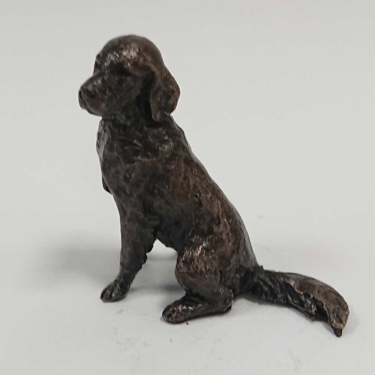 Butler and Peach - Retriever