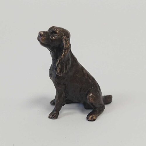 Butler and Peach - Spaniel