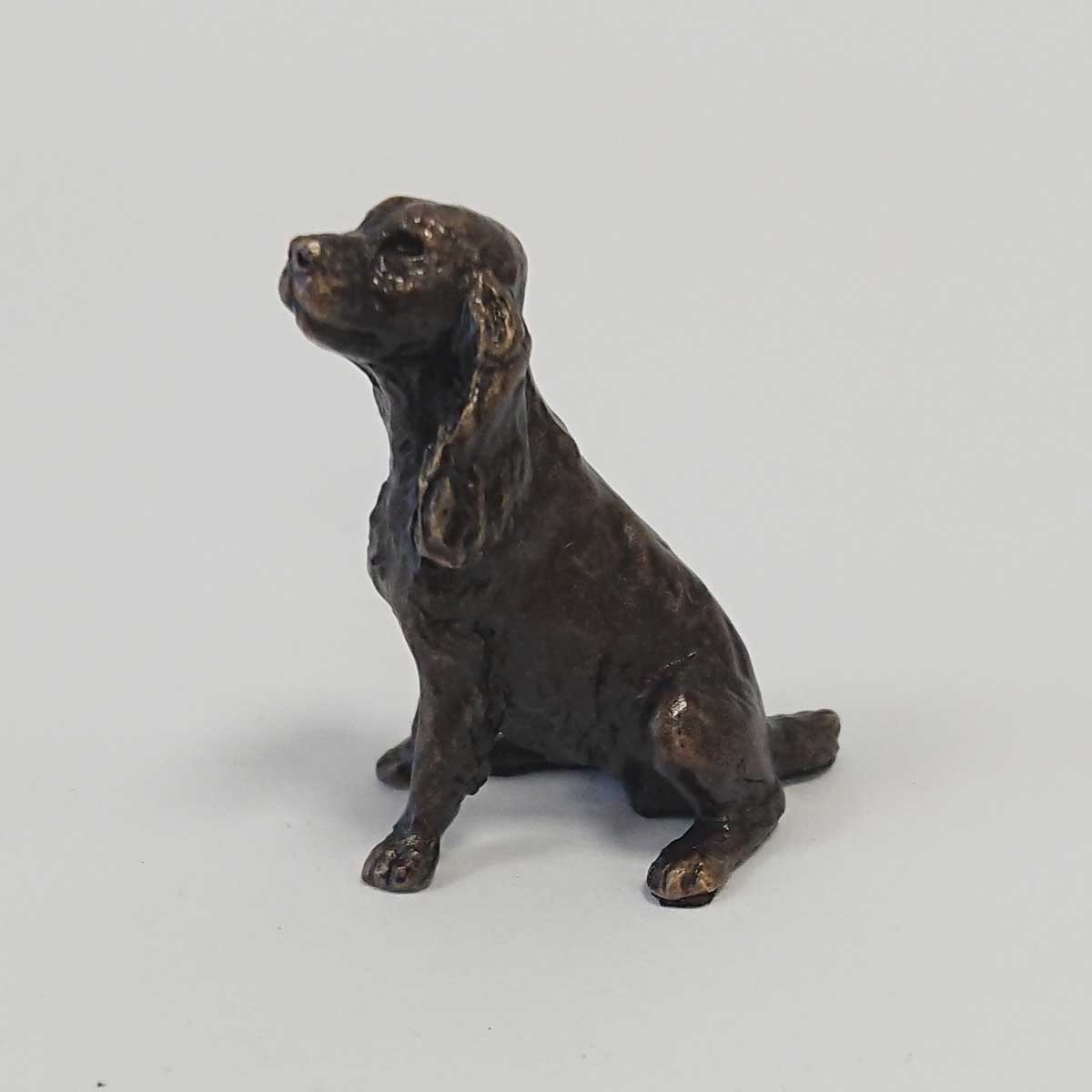 Butler and Peach - Spaniel