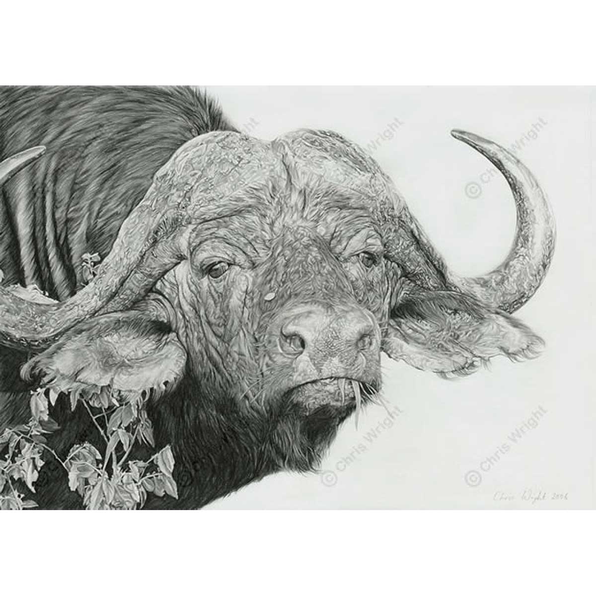 Chris R. Wright Artist Rabbit My Turf - Limited edition print by Chris Wright