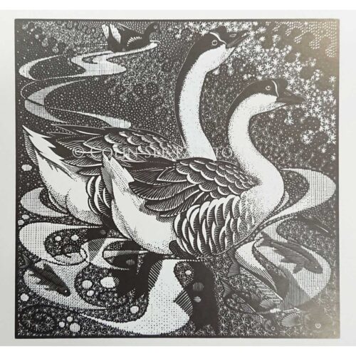 Colin See-Peynton - Gaggle of Geese I