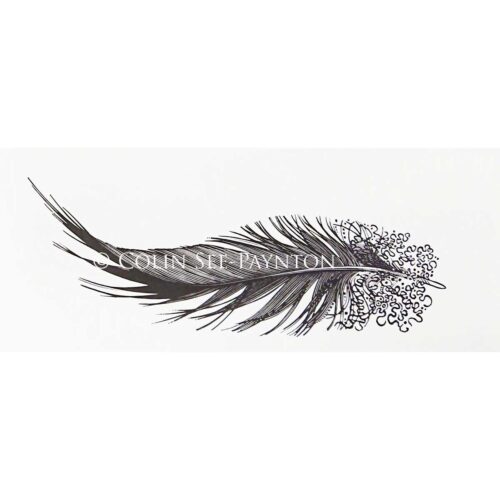 Colin See-Peynton - Heron Feather