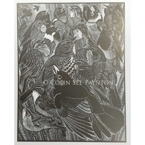 Colin See-Peynton - Jubilation of Songbirds