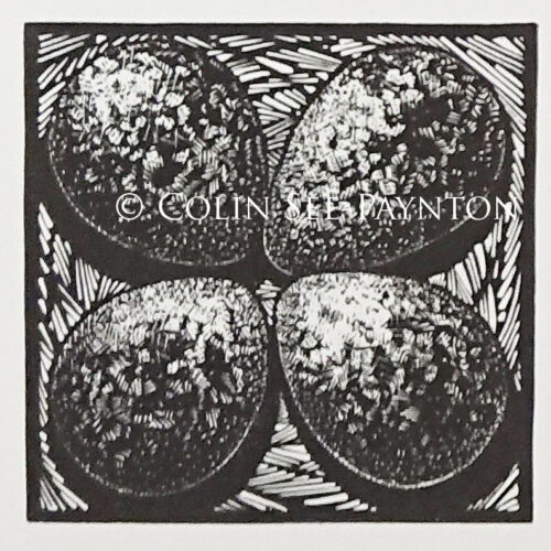 Colin See-Paynton - Lapwing Clutch