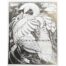 Colin See-Peynton - Quietude of Swans