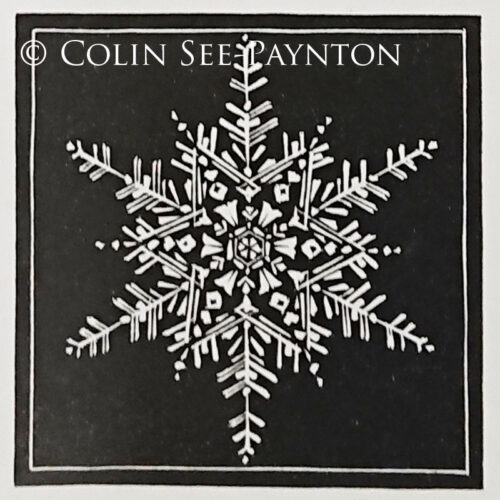 Colin See-Paynton - Snowflake