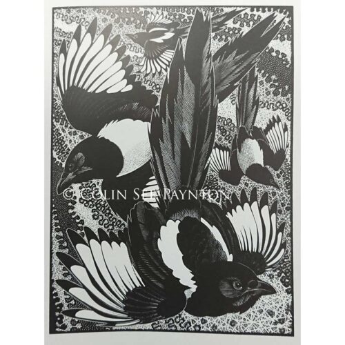 Colin See-Peynton - Tiding of Magpies