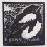 Colin See-Paynton -Young Magpie